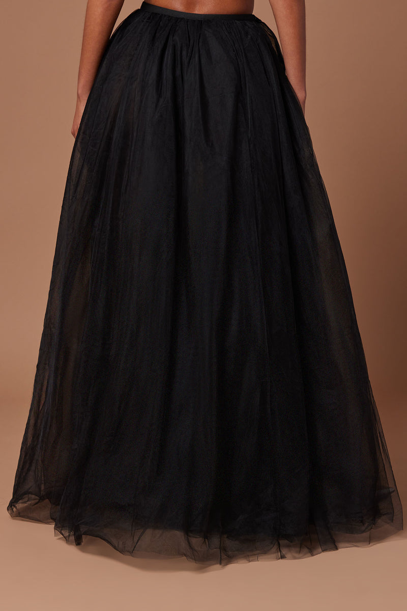 Black skirt hot sale with tulle underneath