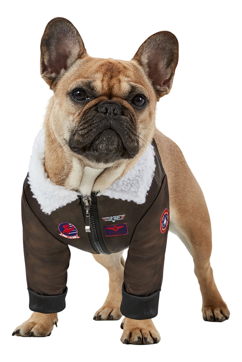 Pup Top Gun Dog Costume Brown Fashion Nova, Pet Costumes Fashion Nova