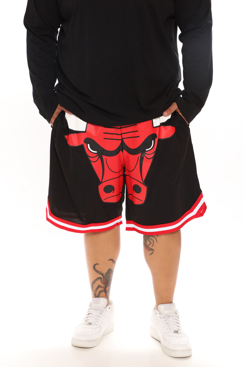 Nike Men's Chicago Bulls Red Mesh Shorts, XL