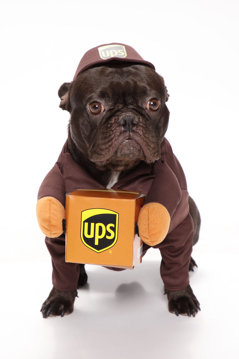 Pup UPS Out For Delivery Dog Costume Brown Fashion Nova Pet