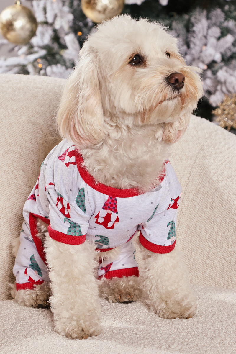 Fashion deals nova dog
