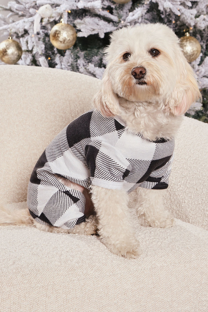 Fashion nova discount dog