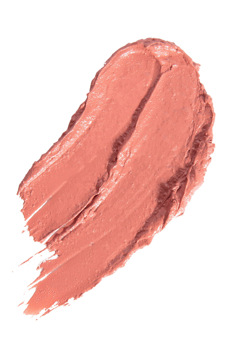 Project Lip Plump and Colour Matte Lip Color Play Fashion Nova, Lip