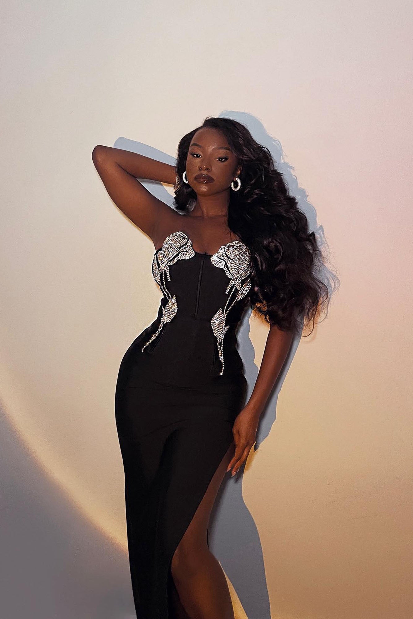 https://www.fashionnova.com/cdn/shop/files/1-2-2023_Oscars_Lady_Embellished_Maxi_Dress_Black_017_GF.jpg?v=1705712531