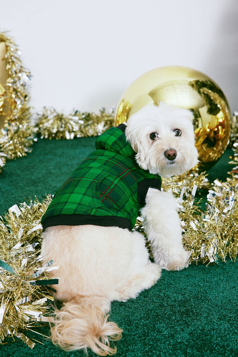 Fashion nova dog sales