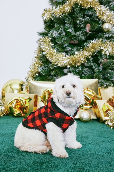 Buy store baby dog
