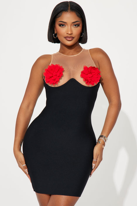 Sheer dress fashion nova hot sale