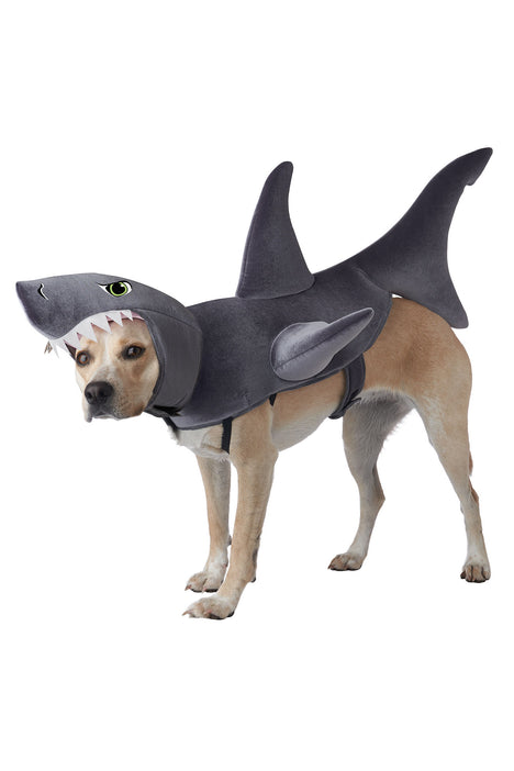 Dog in a clearance shark costume
