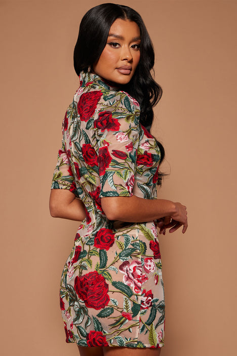 Fashion nova shop embroidered dress