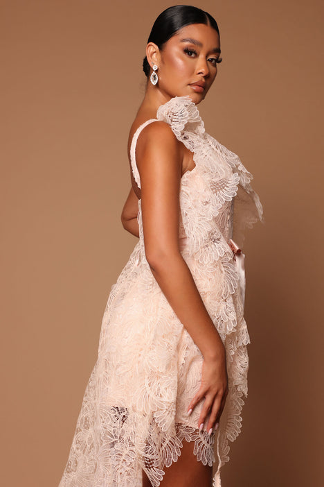 Amelia One Shoulder Lace Mini Dress Blush Fashion Nova Luxe