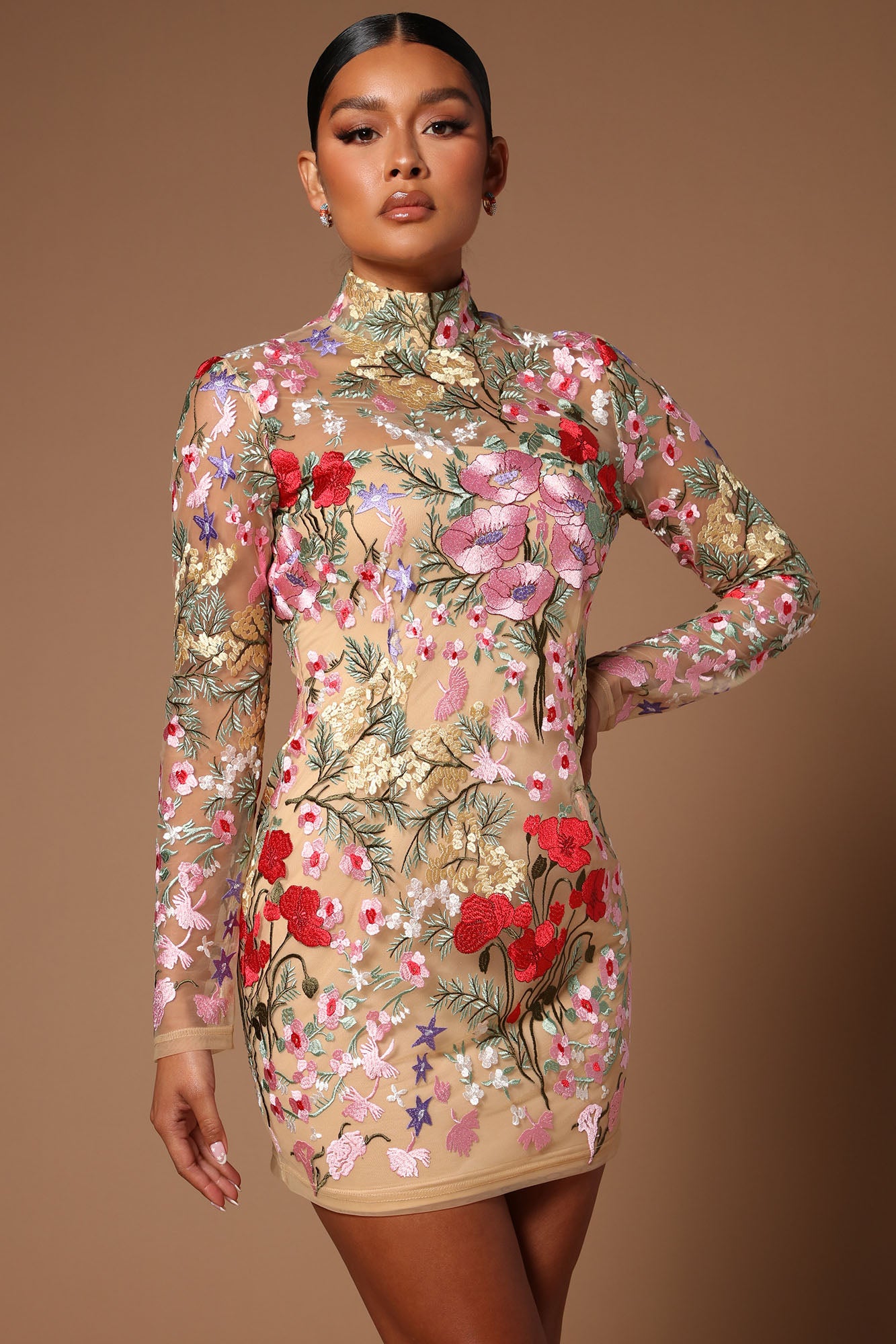 Fashion nova shop embroidered dress