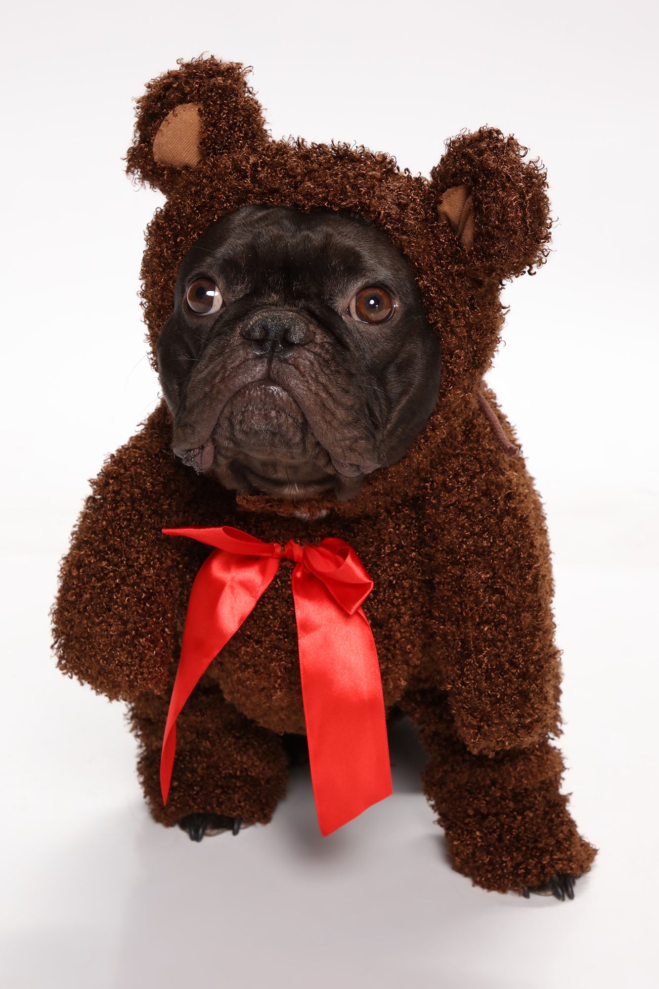 Stuffed animal dog costume new arrivals
