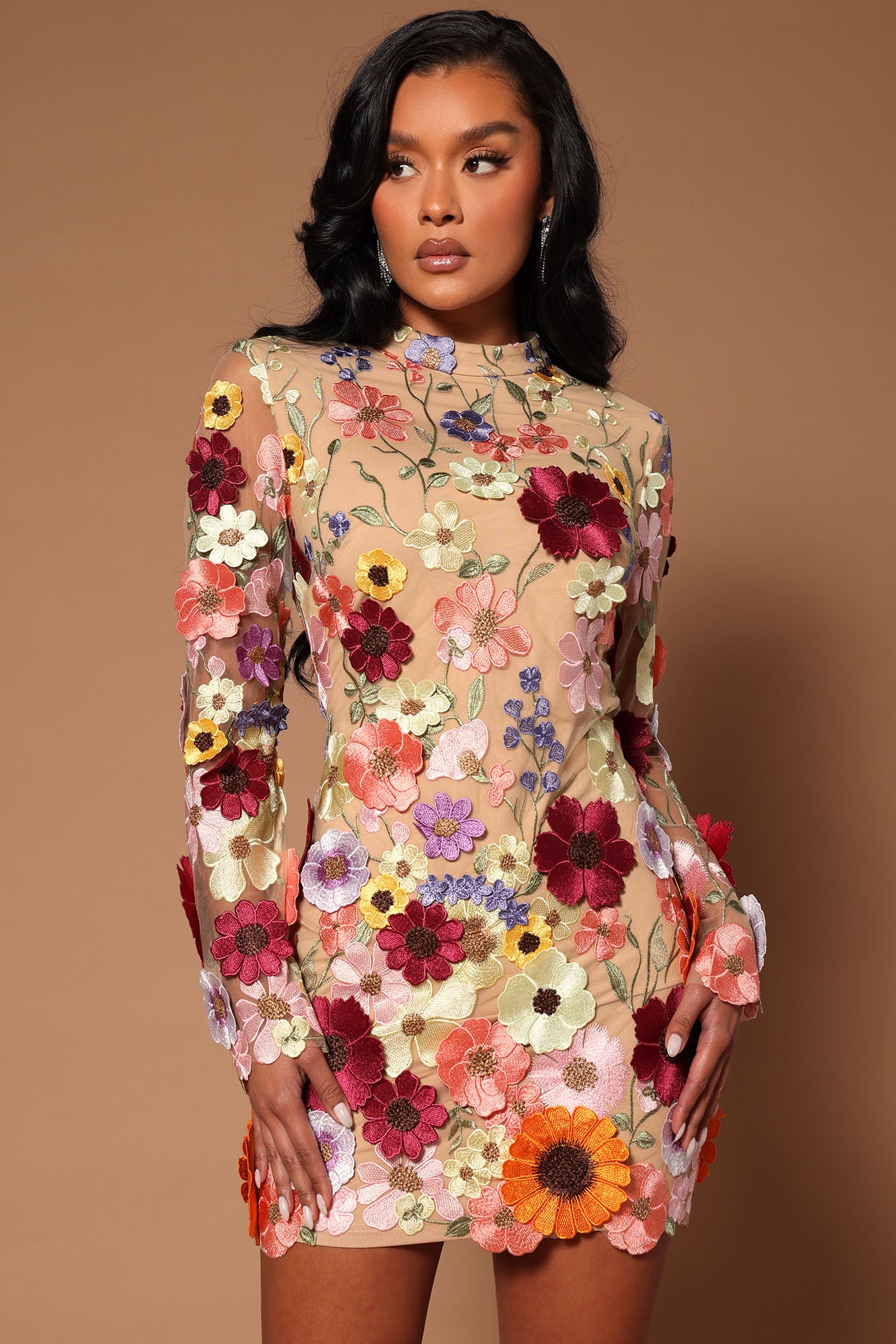 Fashion nova shop embroidered dress