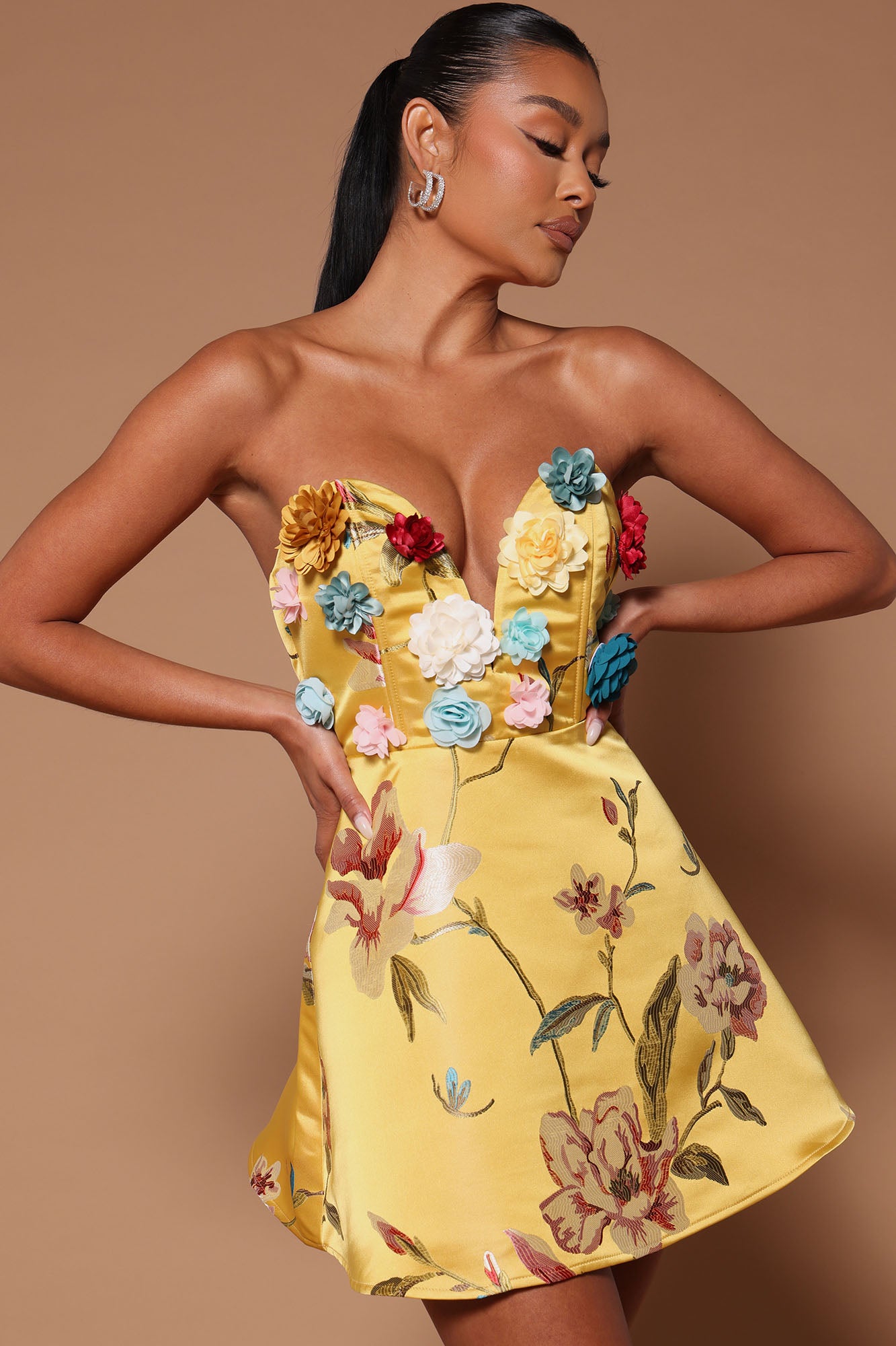 Fashion nova shop embroidered dress